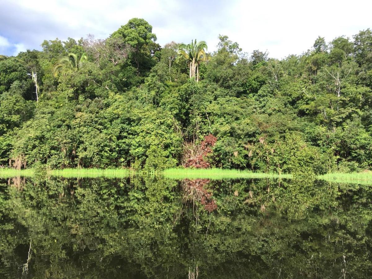 Amazon Arowana Lodge Careiro Buitenkant foto