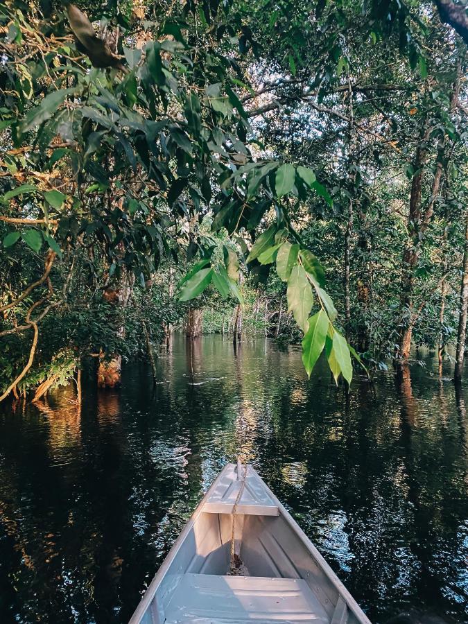 Amazon Arowana Lodge Careiro Buitenkant foto