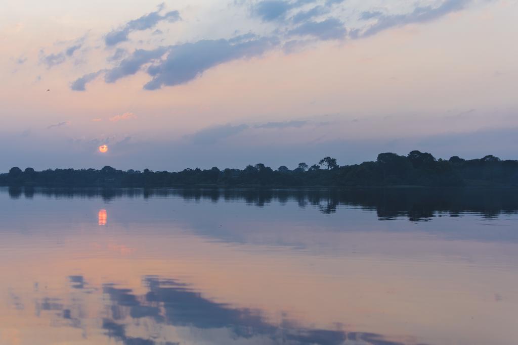 Amazon Arowana Lodge Careiro Buitenkant foto