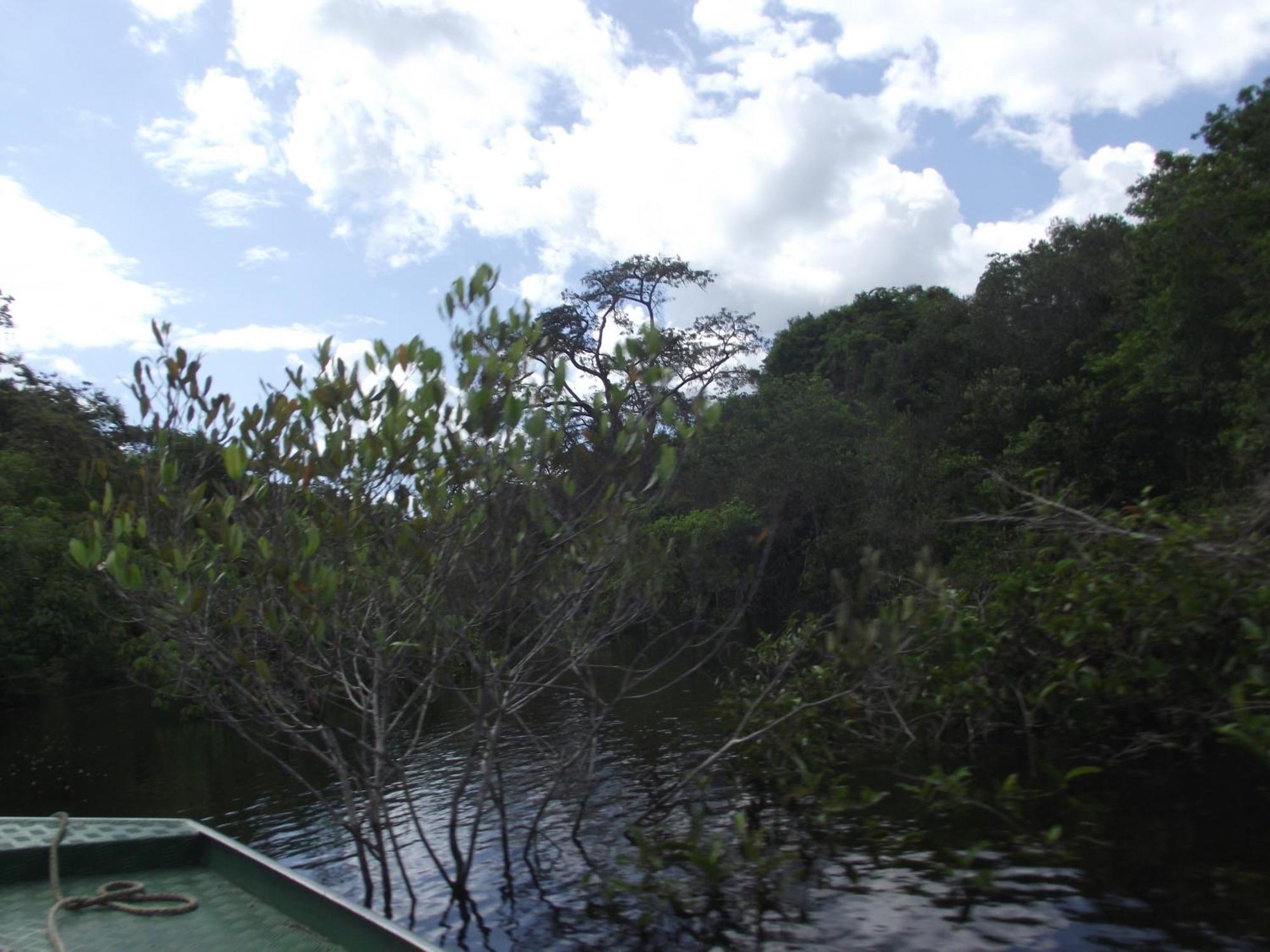 Amazon Arowana Lodge Careiro Buitenkant foto