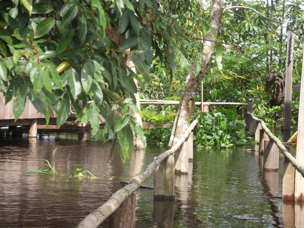 Amazon Arowana Lodge Careiro Buitenkant foto